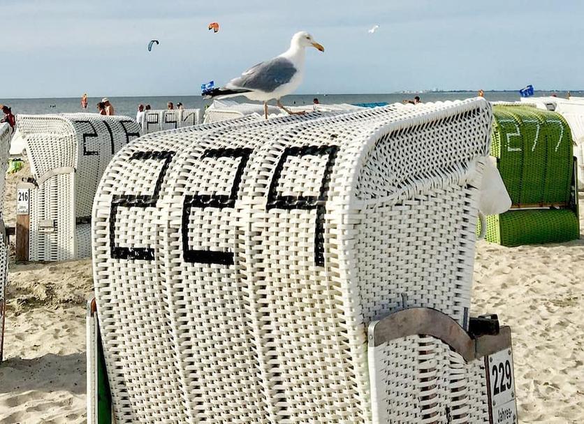 Andere Foto's