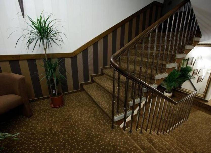 Trappen Foto's
