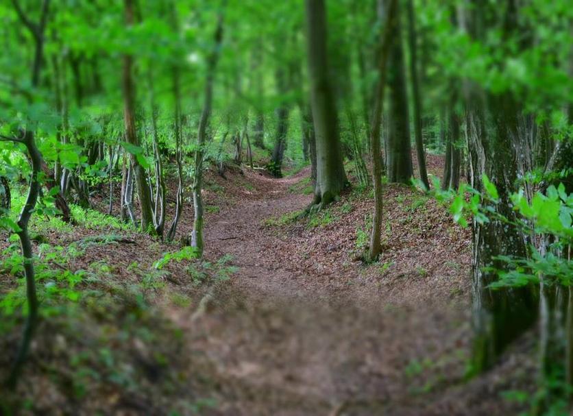 Buiten zicht Foto's