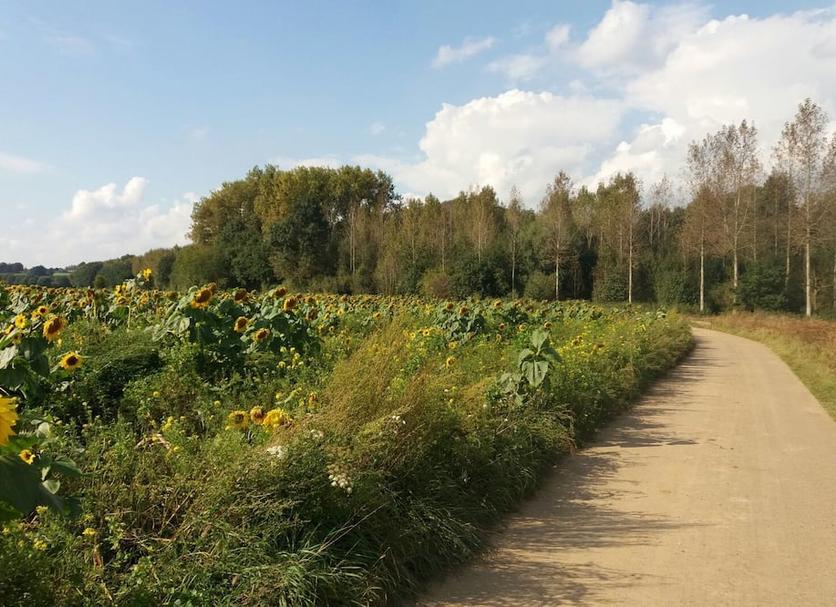 Buiten zicht Foto's