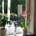 Andere