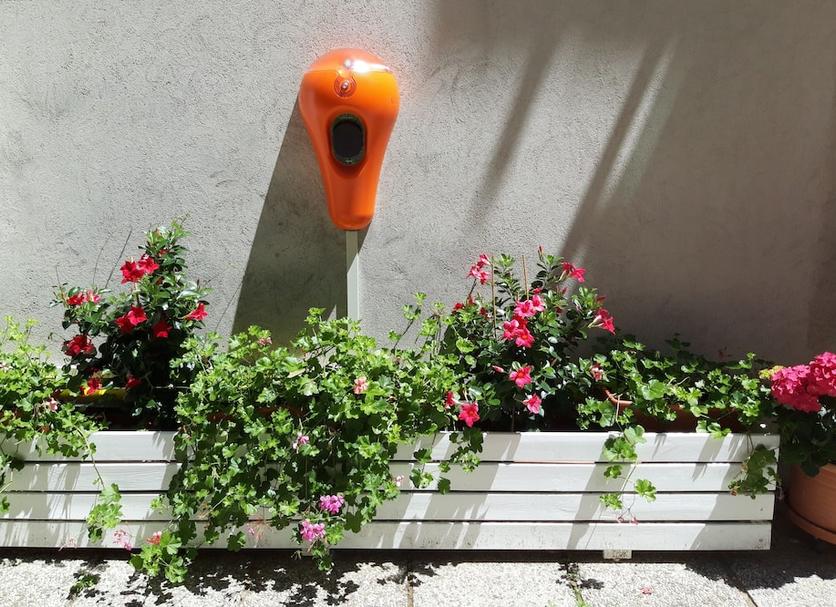 Buiten zicht Foto's