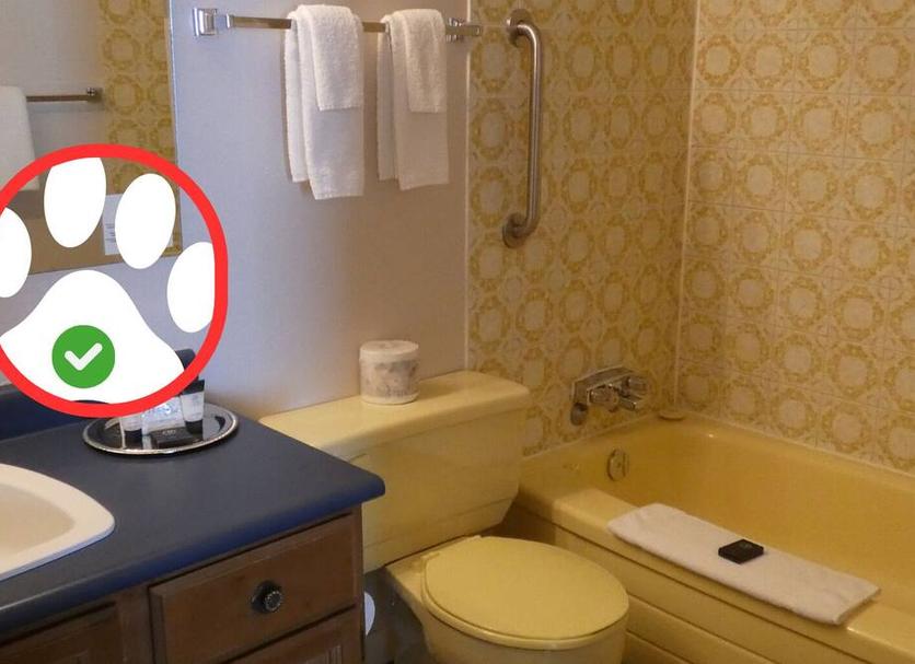 Badkamer Foto's