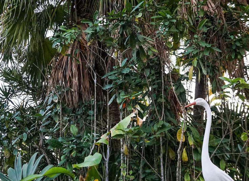 Buiten zicht Foto's