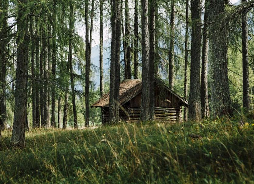 Buiten zicht Foto's