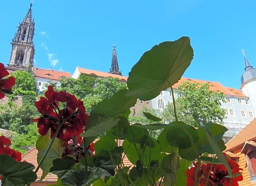 Buiten zicht Foto's