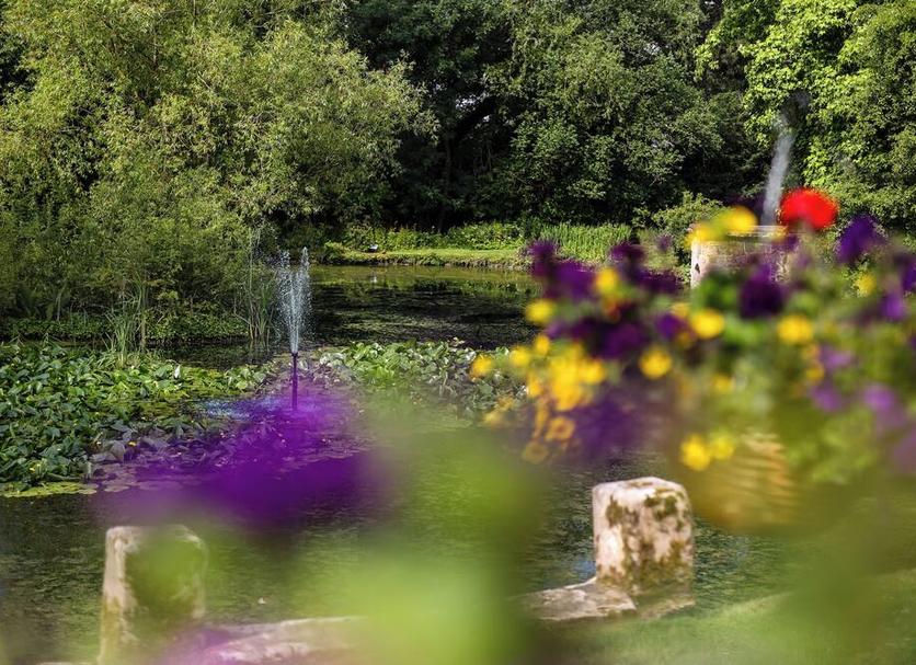 Buiten zicht Foto's