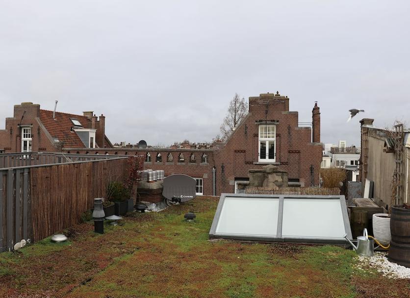 Buiten zicht Foto's