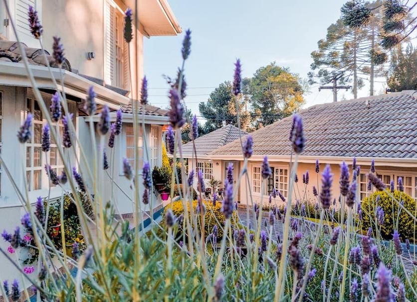Buiten zicht Foto's