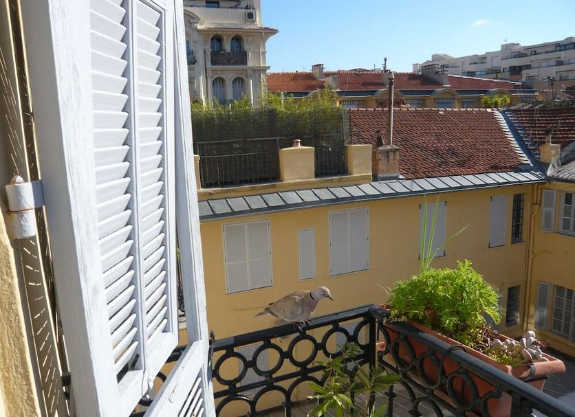 Balkon Foto's