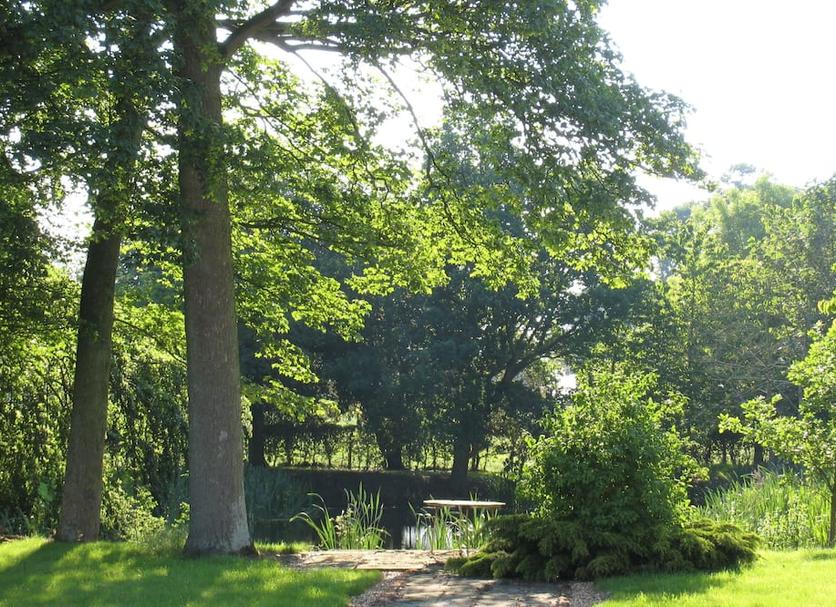 Buiten zicht Foto's