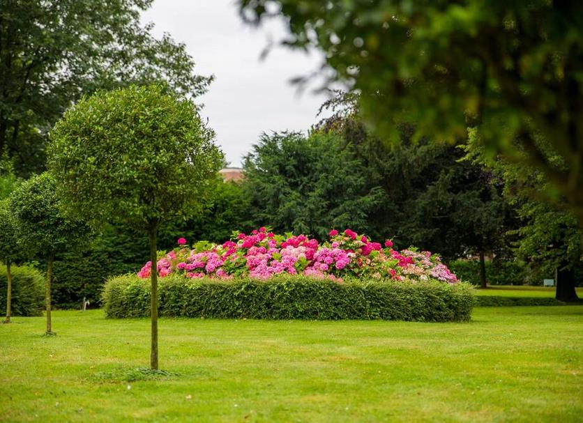 Buiten zicht Foto's