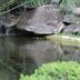 Andere