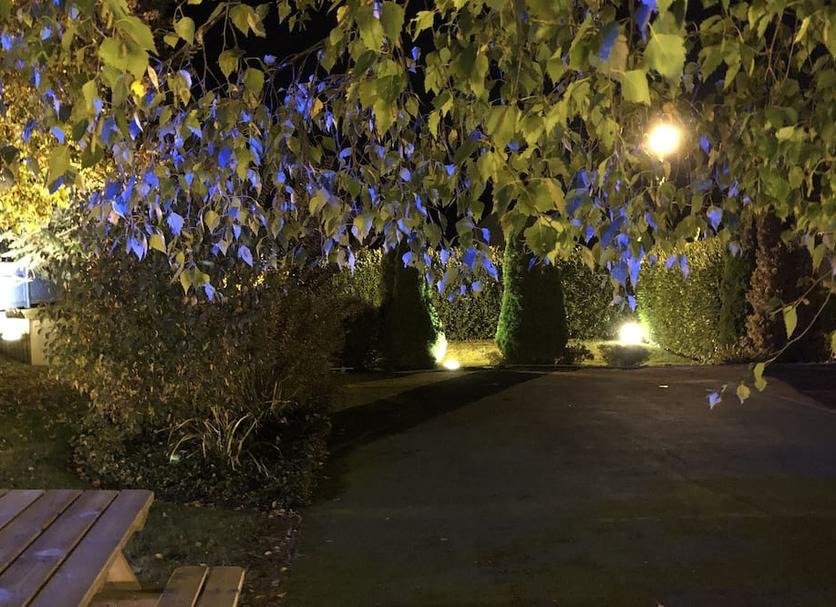 Buiten zicht Foto's