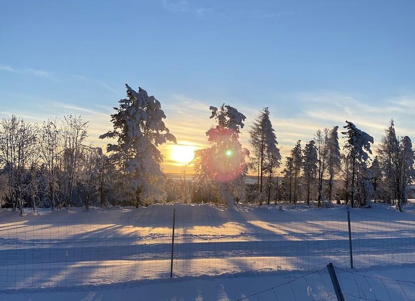 Buiten zicht Foto's