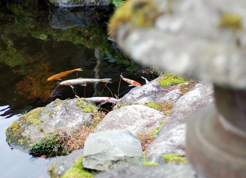 Buiten zicht Foto's
