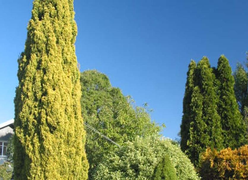 Buiten zicht Foto's