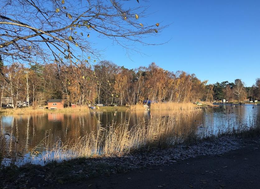 Buiten zicht Foto's