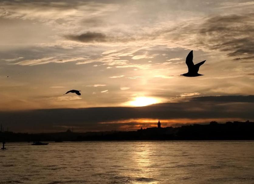 Buiten zicht Foto's