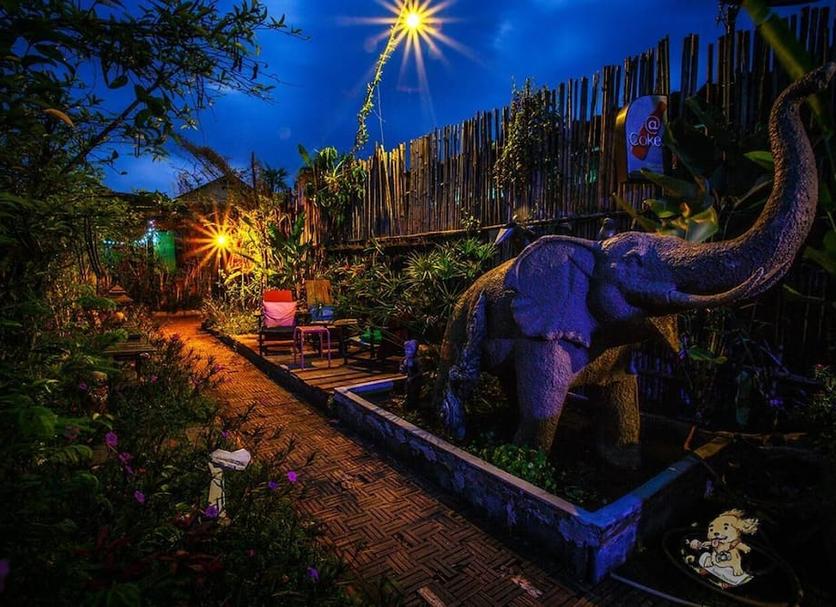 Buiten zicht Foto's