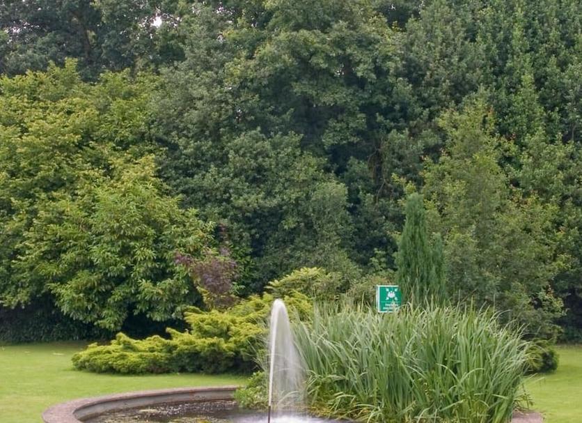 Buiten zicht Foto's