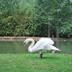 Andere