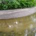 Gebouw