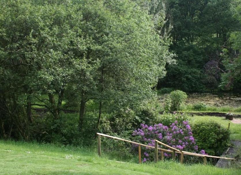 Buiten zicht Foto's