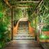Trappen