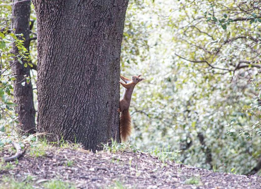 Buiten zicht Foto's