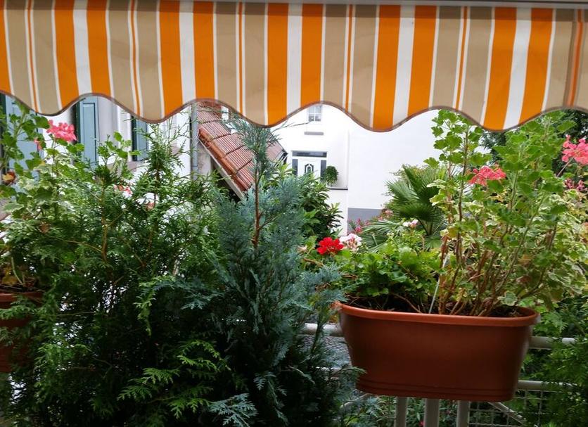 Buiten zicht Foto's