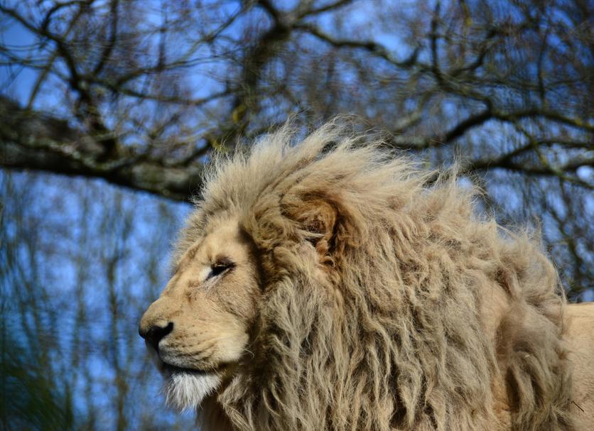 Andere Foto's