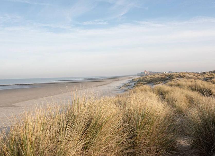 Strand Foto's