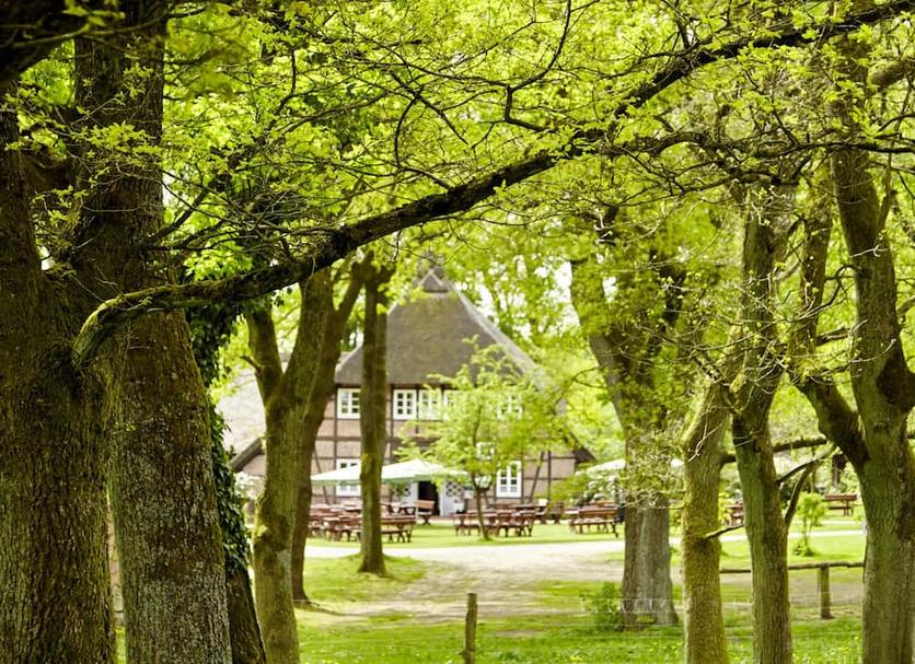 Buiten zicht Foto's