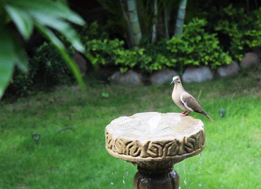 Andere Foto's