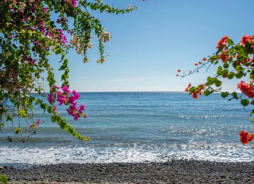 Strand Foto's