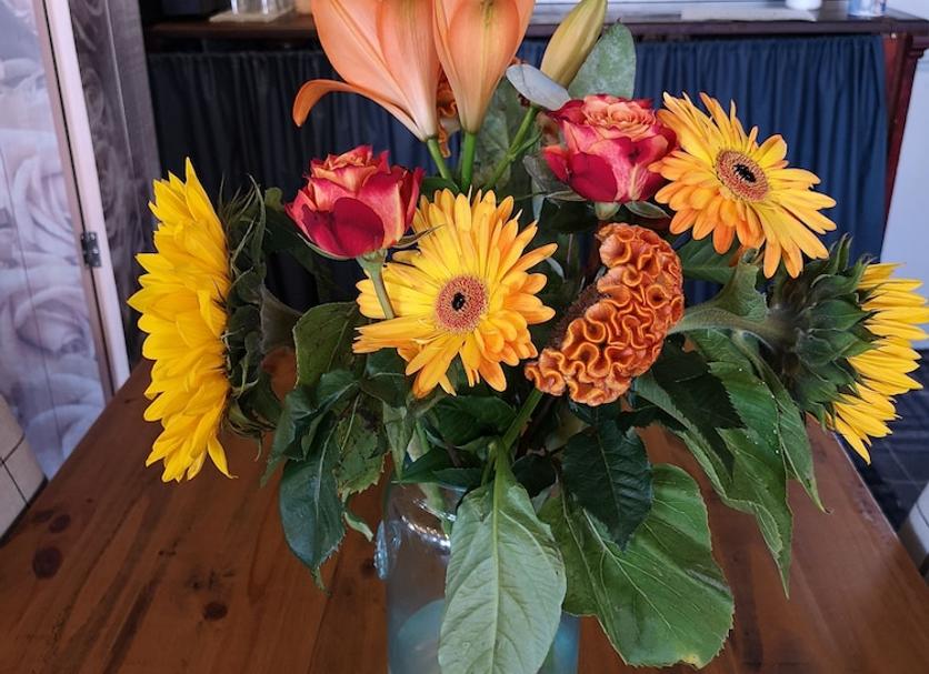 Kamervoorziening Foto's