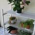 Andere