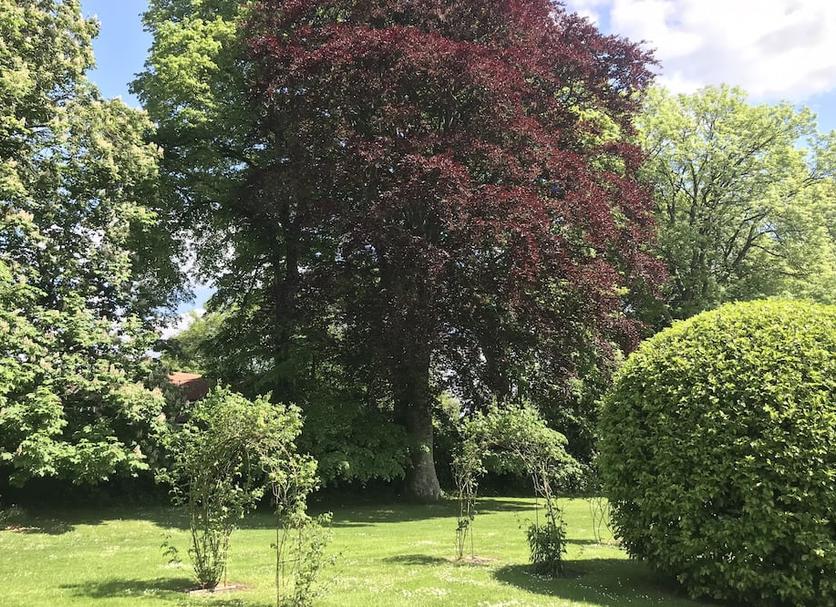 Buiten zicht Foto's