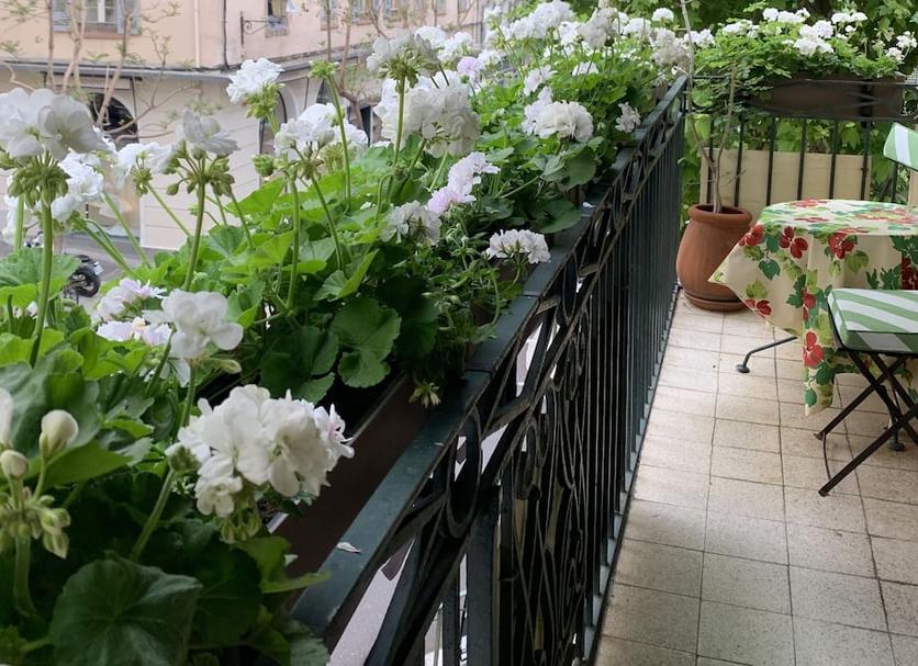 Balkon Foto's