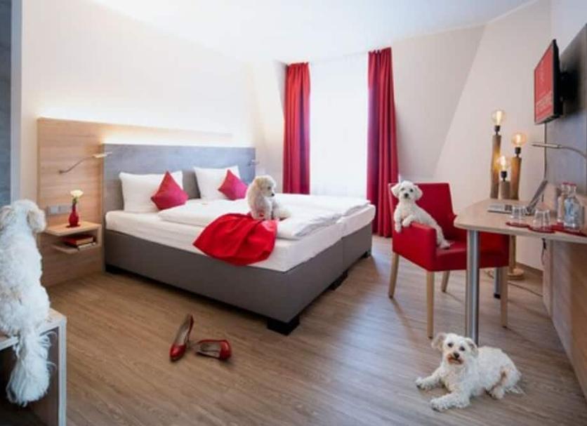 Slaapkamer Foto's