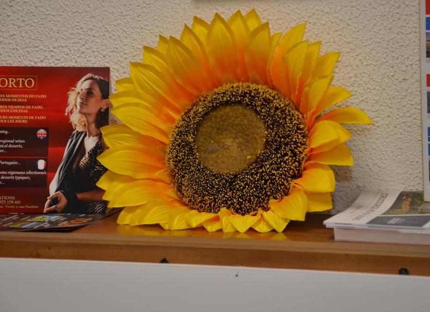 Andere Foto's