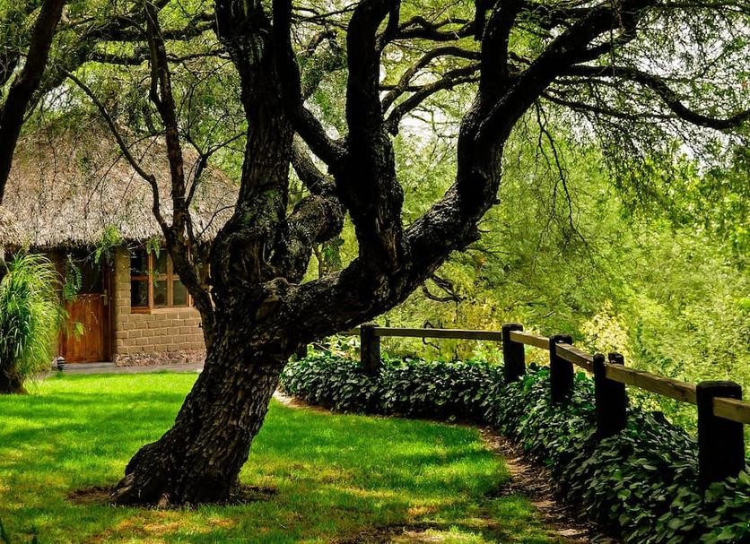 Buiten zicht Foto's