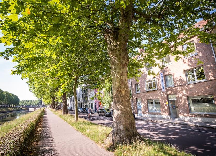 Buiten zicht Foto's