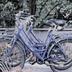 Andere