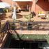 Andere