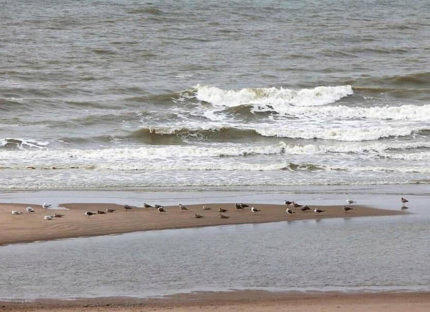 Strand Foto's