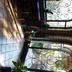 Trappen