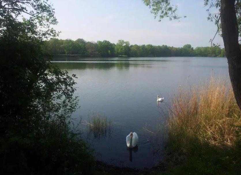 Buiten zicht Foto's
