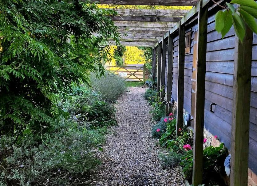 Buiten zicht Foto's